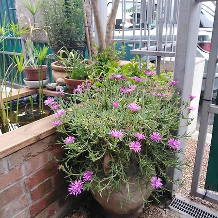 호텔 Villetta Orchidea
